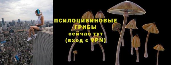 МДПВ Нея