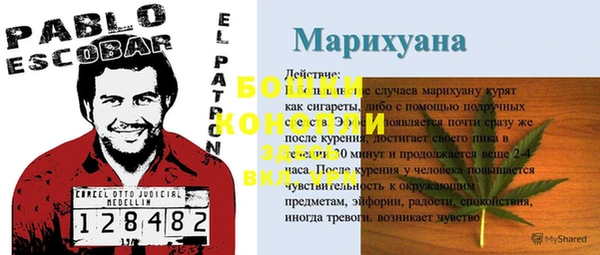 МДПВ Нея