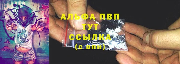 МДПВ Нея