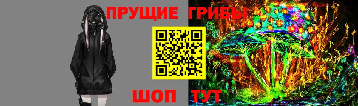 Псилоцибиновые грибы Cubensis  Вход с VPN  Курган 