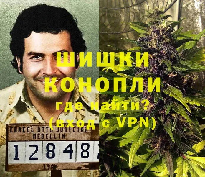 Каннабис OG Kush  Курган 